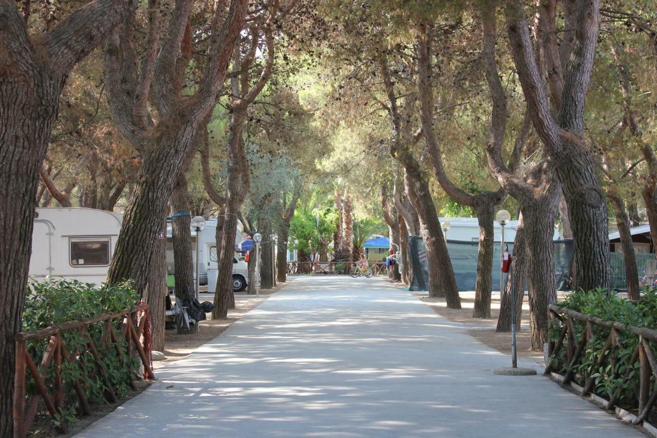 Residence Village Lido Del Gargano Rodi Garganico Ngoại thất bức ảnh